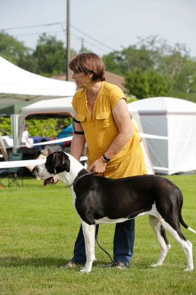 Miss rothschild Du Domaine De Jappeloup